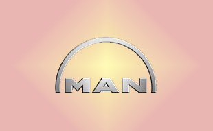 ✓ MAN 51.90490-0024 Болт 